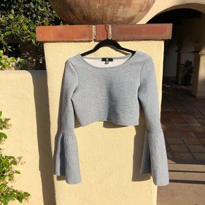 Gray Ribbed Crop Top with detailed sleves